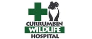 CWHN