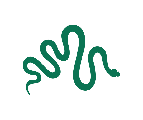 Snake-Green1500px