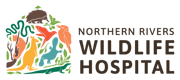 nrwh-horizontal-logo-full-color-rgb-500px@72ppi